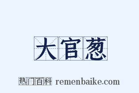 大官葱是什么意思的图片
